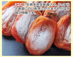 画像1: 特選ころ柿（化粧箱入り・15個入り）（送料込）